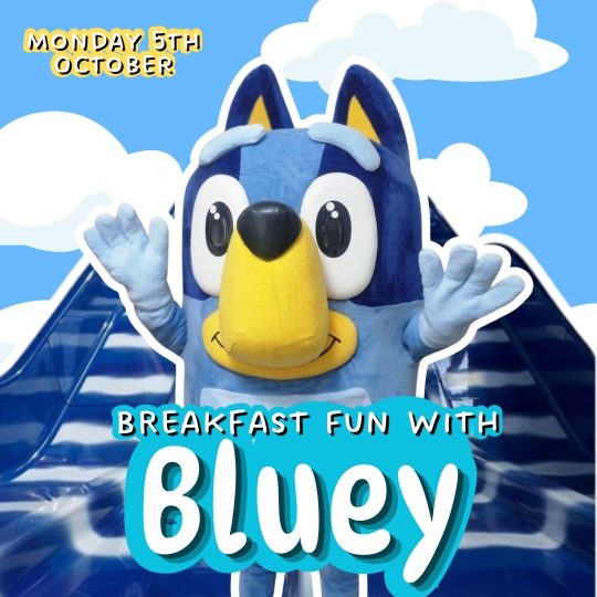 Bluey